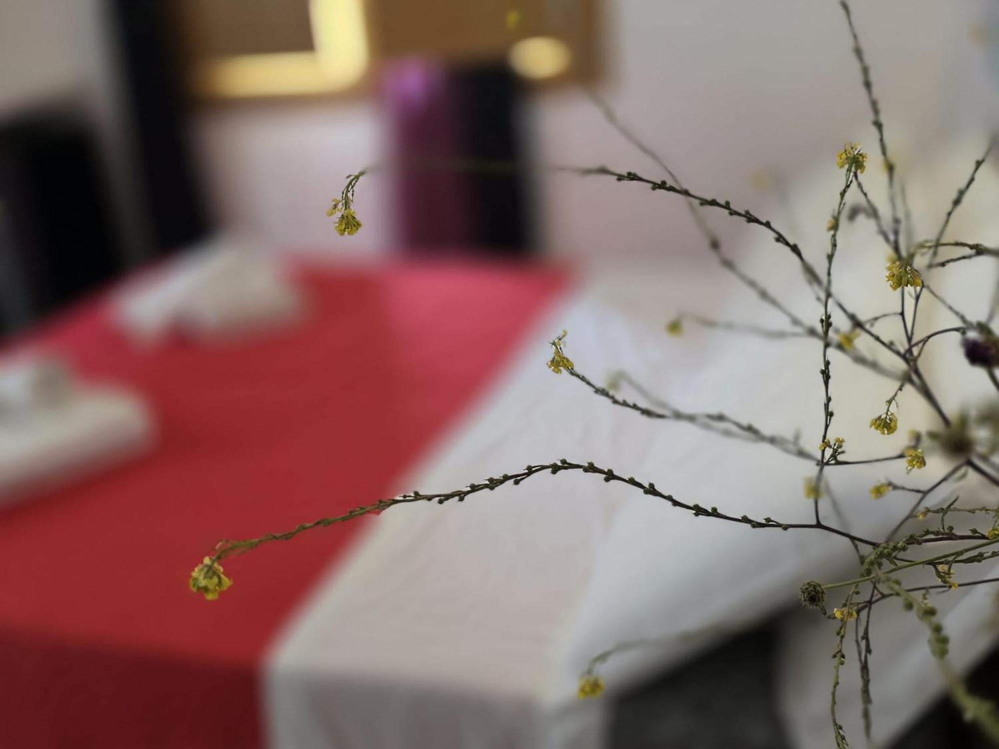 CàbrasB. Sinis住宿加早餐旅馆 外观 照片